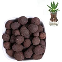 FOONEE - Orquídea de Arcilla hidropónica con Piedras orgánicas expandidas- 100 g